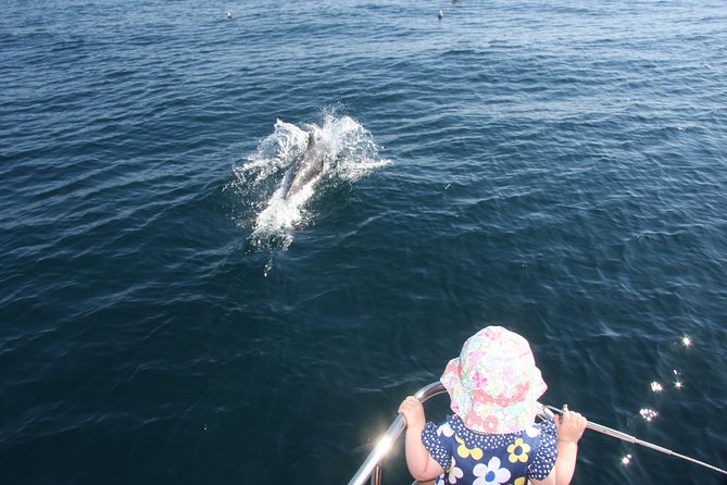 Sighting Dolphin Trip Estepona, Marbella - Coastal Views and Scenic Cruising from Estepona Harbor