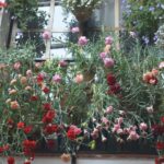 Sights, Sounds, and Scents of Córdoba's Patios - Starting Point at the Monumento a Manolete