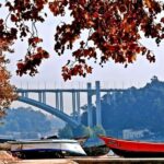Sightseeing Tour Porto: City Highlights - From Lisbon to Porto: Convenient Pickup and Drop-off