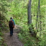 Sigulda Hiking Tour: A Day in the Switzerland of Latvia - Exploring Sigulda Castle and Its Ruins