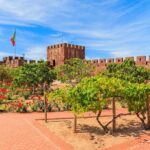 Silves and Monchique Wine Taste Premium - Private> VTours Algarve - Discovering the Natural Beauty of Caldas de Monchique