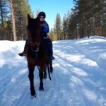 Simo: Private 2-Hour Horseback Riding Tour - Exploring the Snowy Trails of Simos Countryside