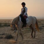 Sines: Horseback Riding on a Beach with Portuguese Horses - Meet & Greet: Friendly Portuguese Horses Trained for All Levels
