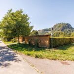 Singing: Guided herb tour "Wild herbs on the banks of the Aa" - Discovering the Banks of the Aach River