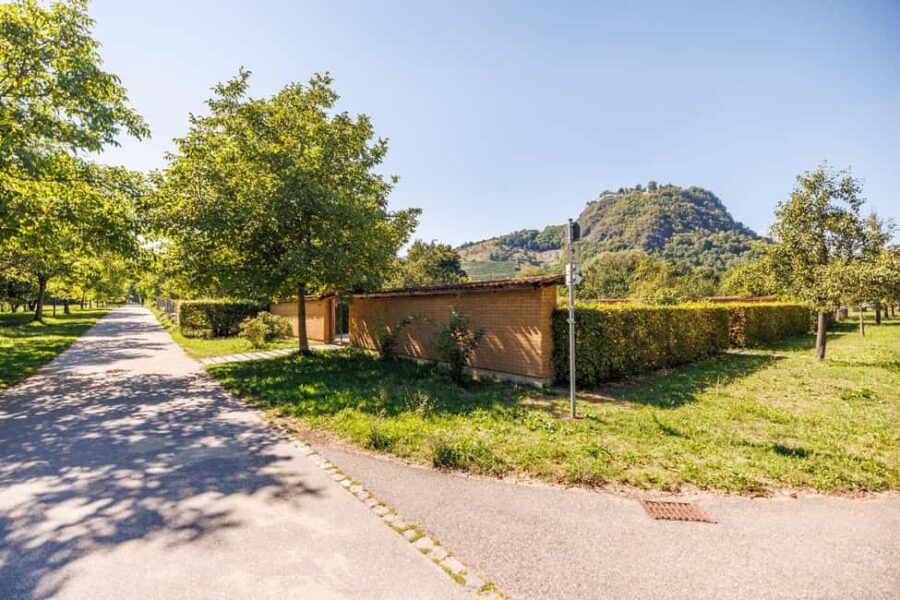 Singing: Guided herb tour "Wild herbs on the banks of the Aa" - Discovering the Banks of the Aach River