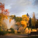 Single Entry Ticket to Jardin d'Acclimatation (without ride) - The Historic Roots of Jardin dAcclimatation