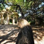 Sintra and Cascais Private Full-day Tour - Logistics and Comfort on the Tour