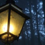 Sintra, Apparitions and Stories From the Mountains - Private Night Walk - Exploring Sintra Mountains Under the Starlit Sky