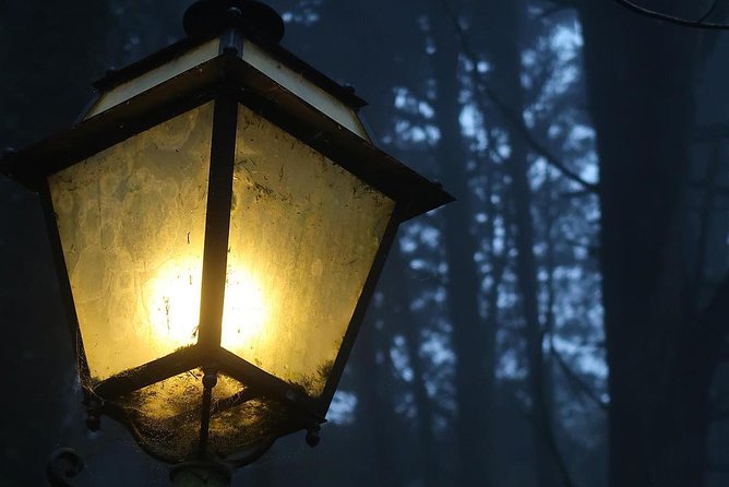 Sintra, Apparitions and Stories From the Mountains - Private Night Walk - Exploring Sintra Mountains Under the Starlit Sky