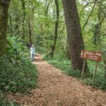 SINTRA  CABO DA ROCA  CASCAIS: A magical escape - Passing the Belém Monuments and the Beaches of Carcavelos