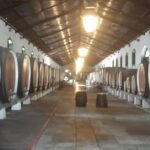 Sintra Full Day Private Wine Experience with Tastings from Lisbon - Visiting the Viniculture of Colares