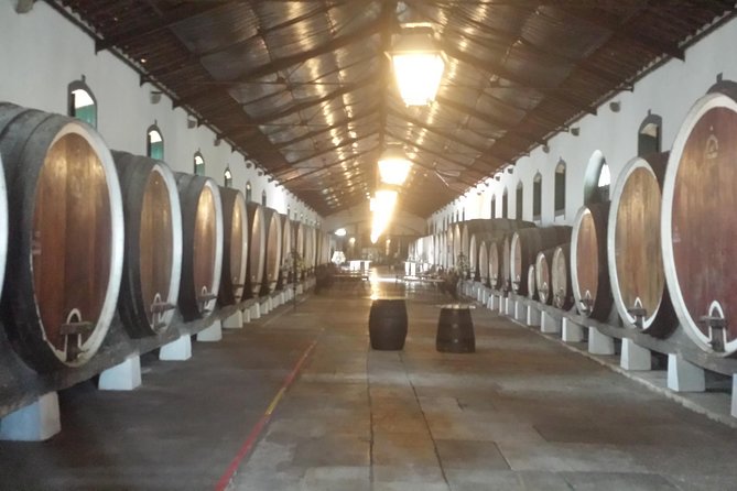 Sintra Full Day Private Wine Experience with Tastings from Lisbon - Visiting the Viniculture of Colares