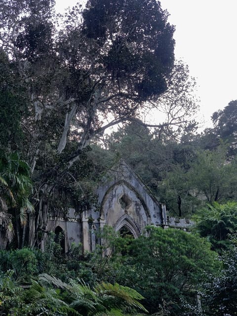 Sintra Highlights: Private Local Tour - Palaces & Views - Starting from Your Chosen Location and Seamless Pickup