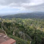 Sintra: Pena Palace, Historic Center, and local delicacies. - Scenic Pass Through Sintra Natural Park and Photo Opportunities