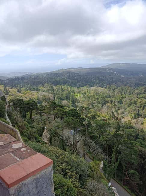 Sintra: Pena Palace, Historic Center, and local delicacies. - Scenic Pass Through Sintra Natural Park and Photo Opportunities