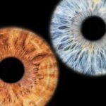 Siracusa Iris Photography Experience - What’s Included: A Complete Artistic Keepsake