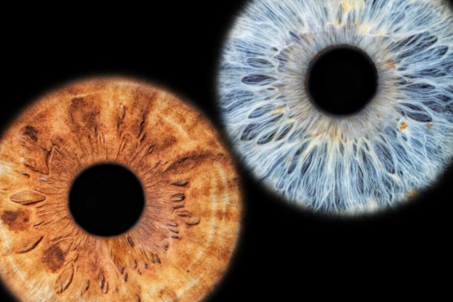 Siracusa Iris Photography Experience - What’s Included: A Complete Artistic Keepsake