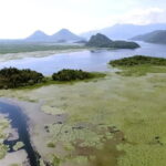 SKADAR LAKE: A national park with amazing flora and fauna! - Exploring Lake Skadar’s Scenic Landscapes