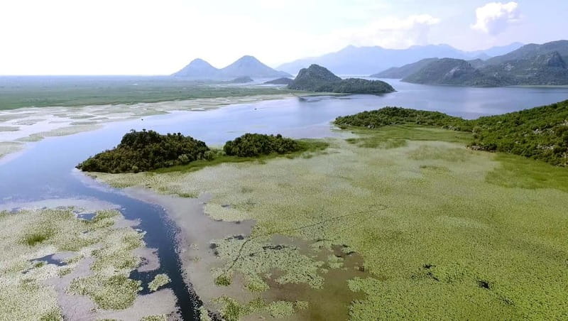 SKADAR LAKE: A national park with amazing flora and fauna! - Exploring Lake Skadar’s Scenic Landscapes