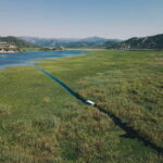 Skadar Lake: Explore the nature and national cuisine - Scenic Boat Ride Across Skadar Lake