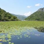 Skadar Lake full-day tour from Kotor - Departure from Kotor to Montenegro’s Largest Lake