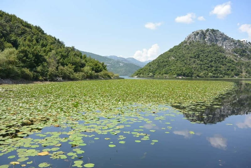 Skadar Lake full-day tour from Kotor - Departure from Kotor to Montenegro’s Largest Lake