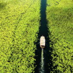 Skadar Lake National Park: Guided Boat Tour with Wooden Boat - Exploring Lake Skadars Narrow Channels