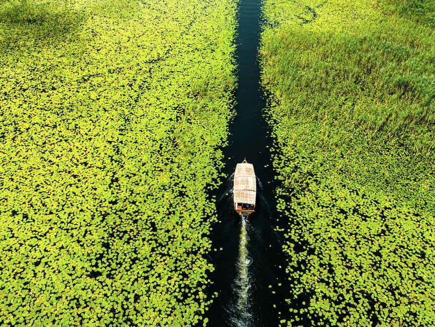 Skadar Lake National Park: Guided Boat Tour with Wooden Boat - Exploring Lake Skadars Narrow Channels