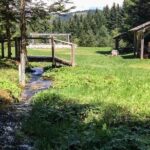 Skakavac Waterfall Hike - From Sarajevo - Enjoying a Picnic Lunch in the Forest