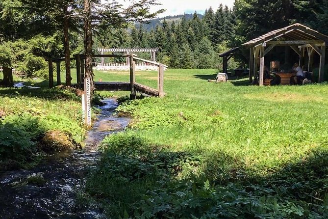 Skakavac Waterfall Hike - From Sarajevo - Enjoying a Picnic Lunch in the Forest