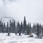 Ski & Snow Tour to Bakuriani from Kutaisi with Borjomi Stop - Borjomi: Sampling Georgia’s Famous Mineral Water and Park Walks