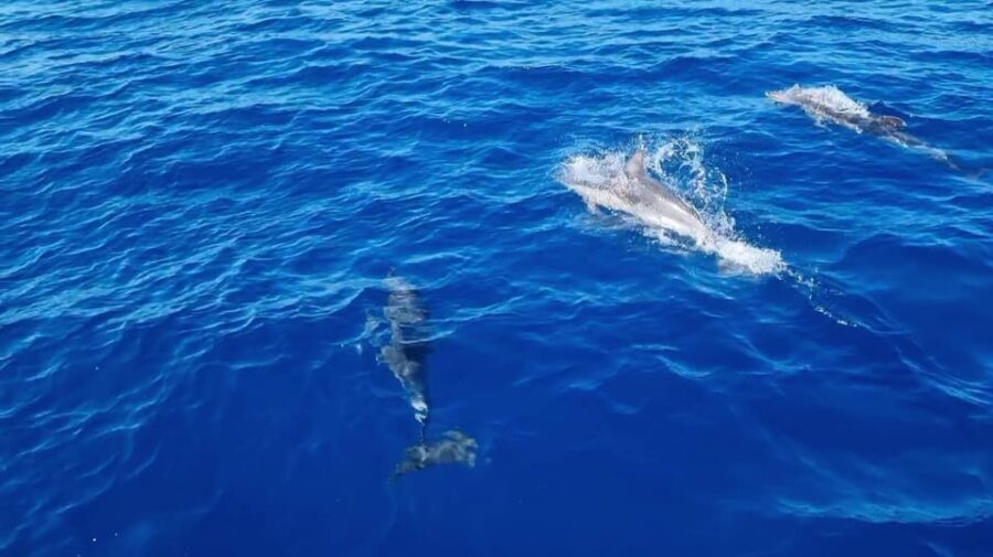 Skiathos private tours :Sailing day with lunch on board, - Board the Luxurious Rainbow Yacht for a Personalized Sailing Adventure