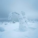 Skiing in Riisitunturi NP at Night & Wilderness Dinner - Starting Point and Group Size: Small and Convenient