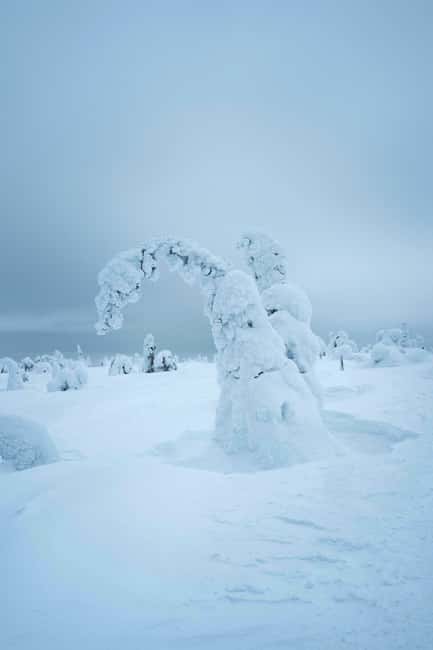 Skiing in Riisitunturi NP at Night & Wilderness Dinner - Starting Point and Group Size: Small and Convenient