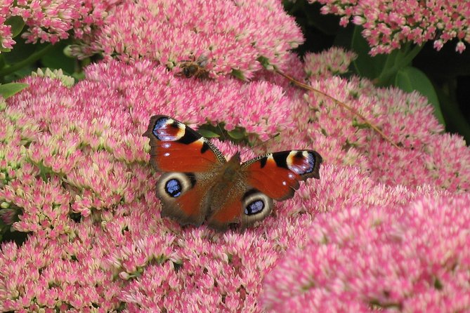 Skip-the-Line: Botanic Garden Entry Ticket - The Gardens Seasonal Colour and Greenhouses