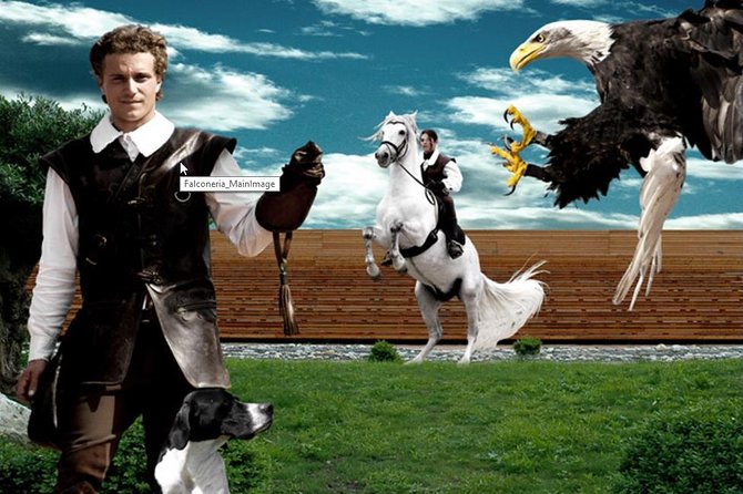 Skip the Line: Falconeria Locarno Ticket - Visiting the Falconry Park and Its Green Grounds