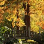 Skip the Line: House and Garden Admission Ticket - Exploring the 7 Acres of Cultivated Gardens