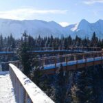 Sky Walk Heart of Poronin & Thermal Baths from Kraków - The Unique Experience of the Sky Walk Heart of Poronin