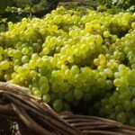 Skywalk with Wines Tasting and Vineyards Half day 4x4 Adventure - Convenience and Group Size