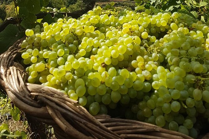 Skywalk with Wines Tasting and Vineyards Half day 4x4 Adventure - Convenience and Group Size