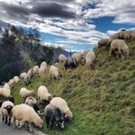 SLOVAKIA PRIVATE TOUR with ZAKOPANE - Starting Point: Convenient Pickup in Krakow