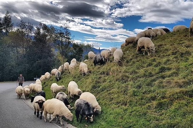 SLOVAKIA PRIVATE TOUR with ZAKOPANE - Starting Point: Convenient Pickup in Krakow