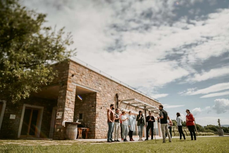 Slovenia Wine Tour in a Family-Owned Cellars - Scenic Drive into Slovenia’s Vipava Valley