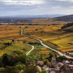 Small group Afternoon in Côte de Nuits - Exploring the Vineyards of Gevrey Chambertin and Vougeot