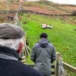 Small Group Aughnanure Castle, Sheepdog Demo & Connemara Tour - Scenic Drive Through Maum Valley and Irish Countryside