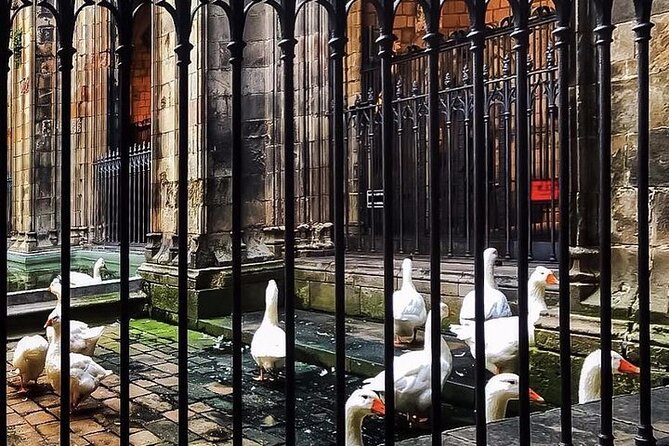 Small Group Barcelona Walking Tour, Flamenco Show & Tapas Dinner - The Guides: Knowledgeable and Engaging