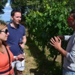 Small-Group Brunello Wine Tour of Montalcino from Florence - Expert Guides and Engaging Commentary