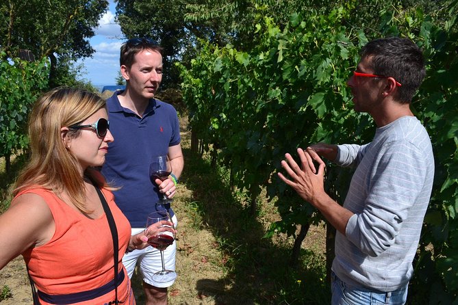 Small-Group Brunello Wine Tour of Montalcino from Florence - Expert Guides and Engaging Commentary