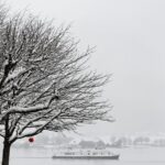 Small-Group Christmas Day Trip to Hallstatt from Vienna - Exploring the Basilica of St. Michael in Mondsee