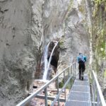 Small-Group Day Trip to the Epic 7 Ladders Canyon from Brasov - Inside the Canyon: Climbing and Crossing Suspended Bridges